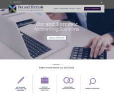 Tax and Forensic Accounting Solutions