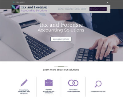 Tax and Forensic Accounting Solutions